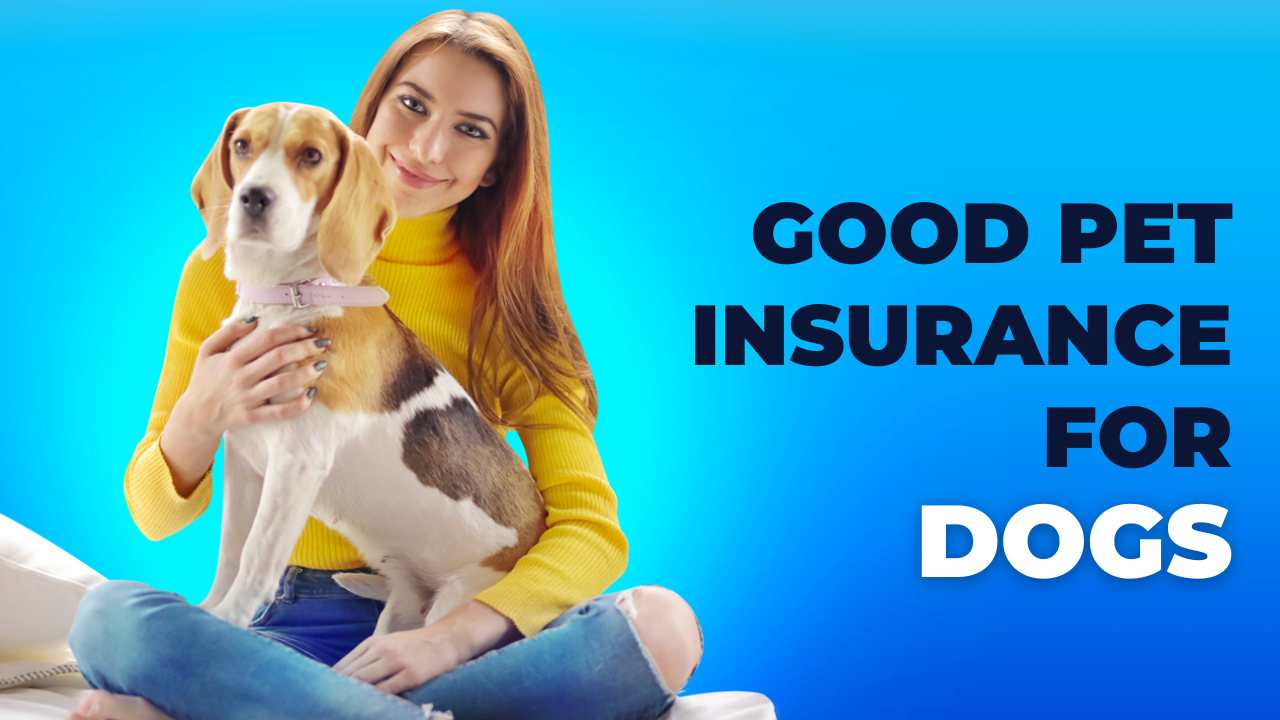 Good Pet Insurance for Dogs – 2025 | Affordable & Reliable Coverage